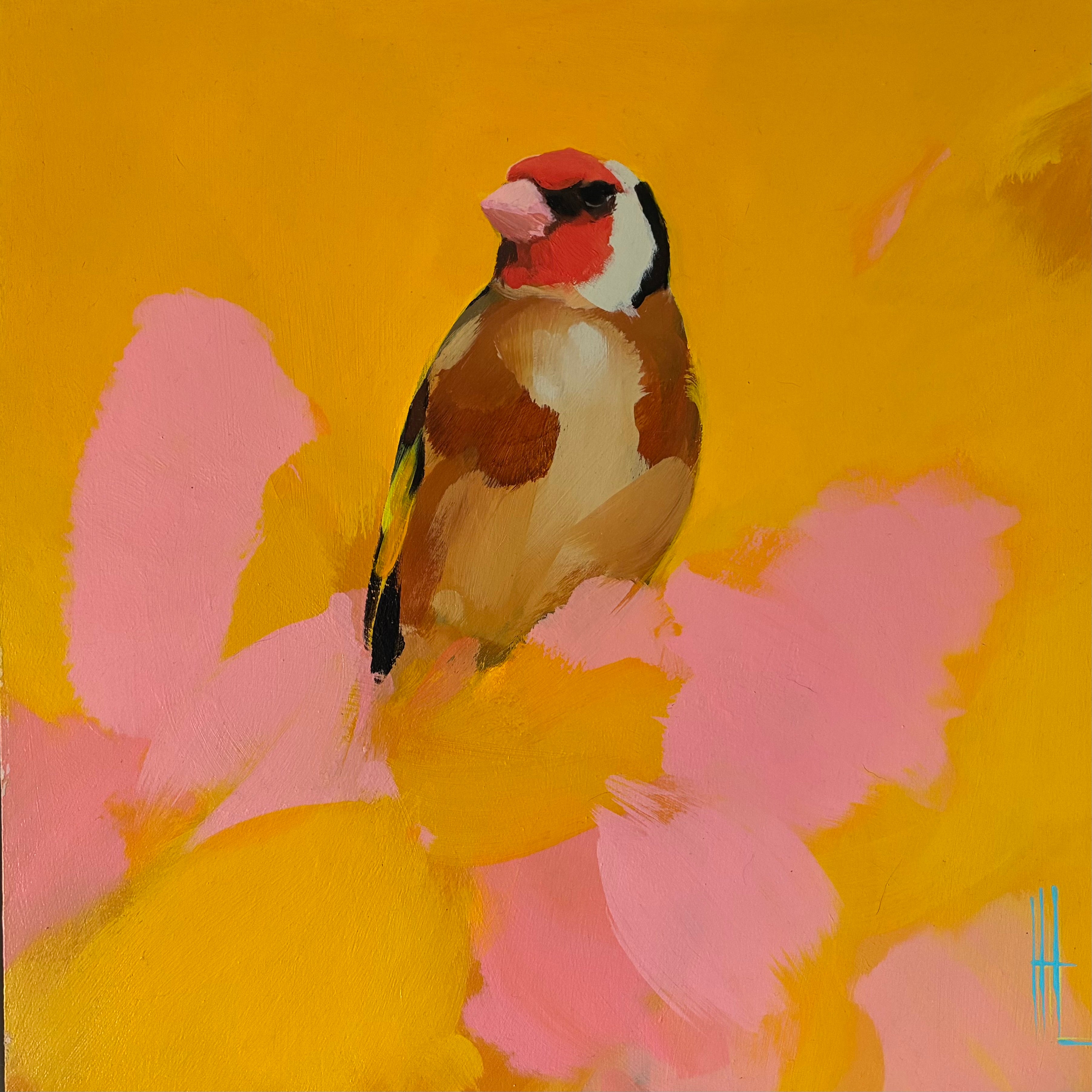 Goldfinch in marigold and sunshine