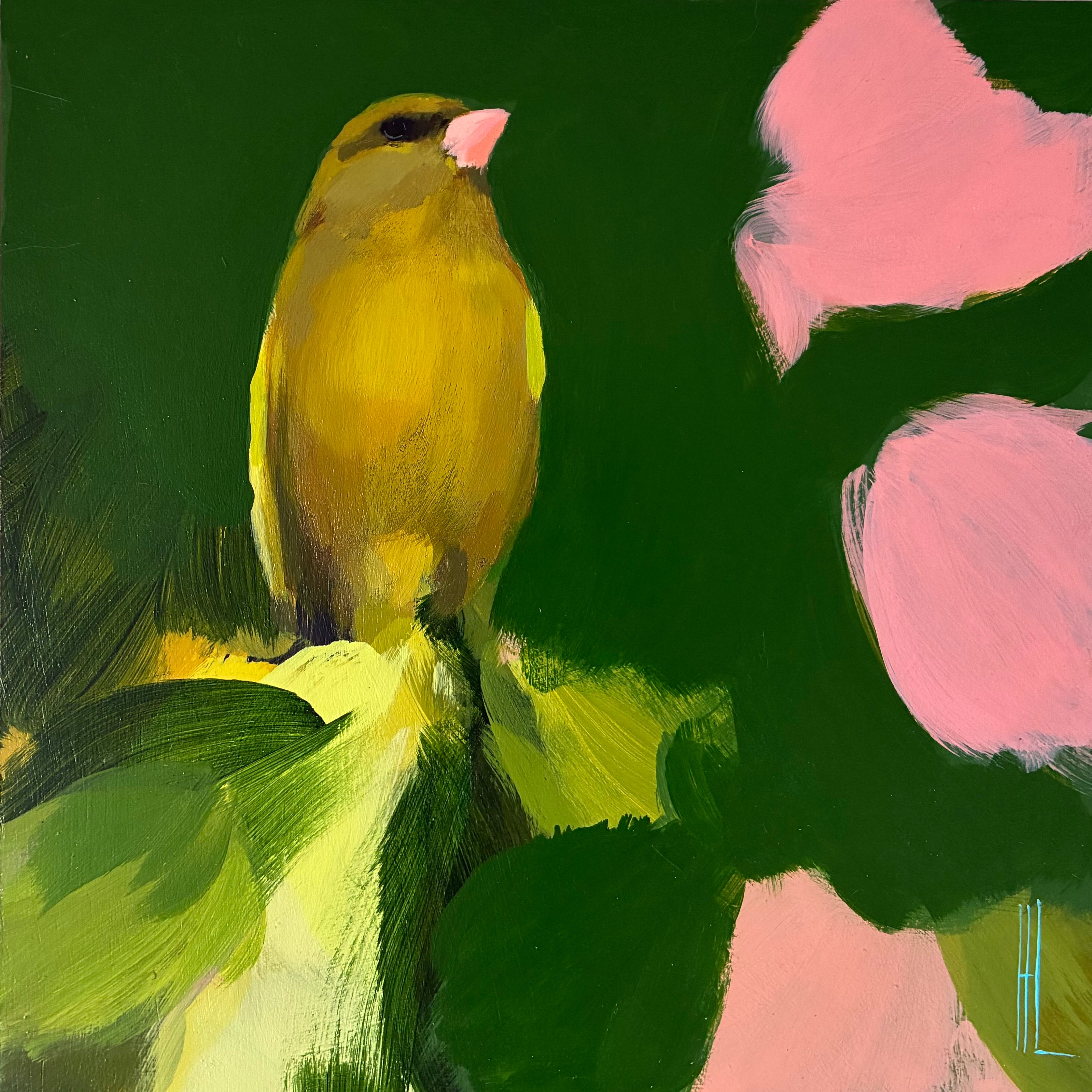 Greenfinch in dark green with pink