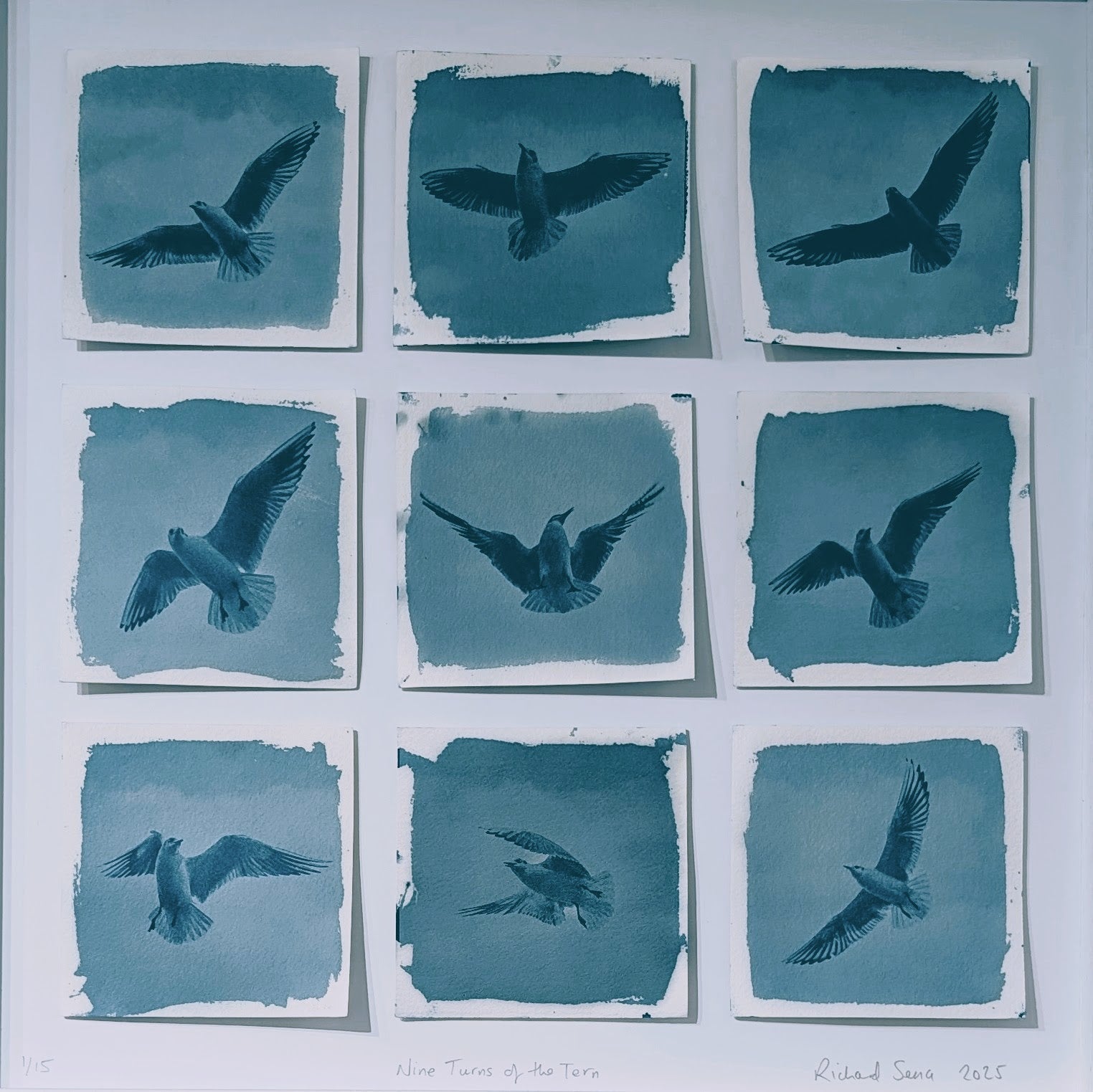 Nine Turns Of The Tern