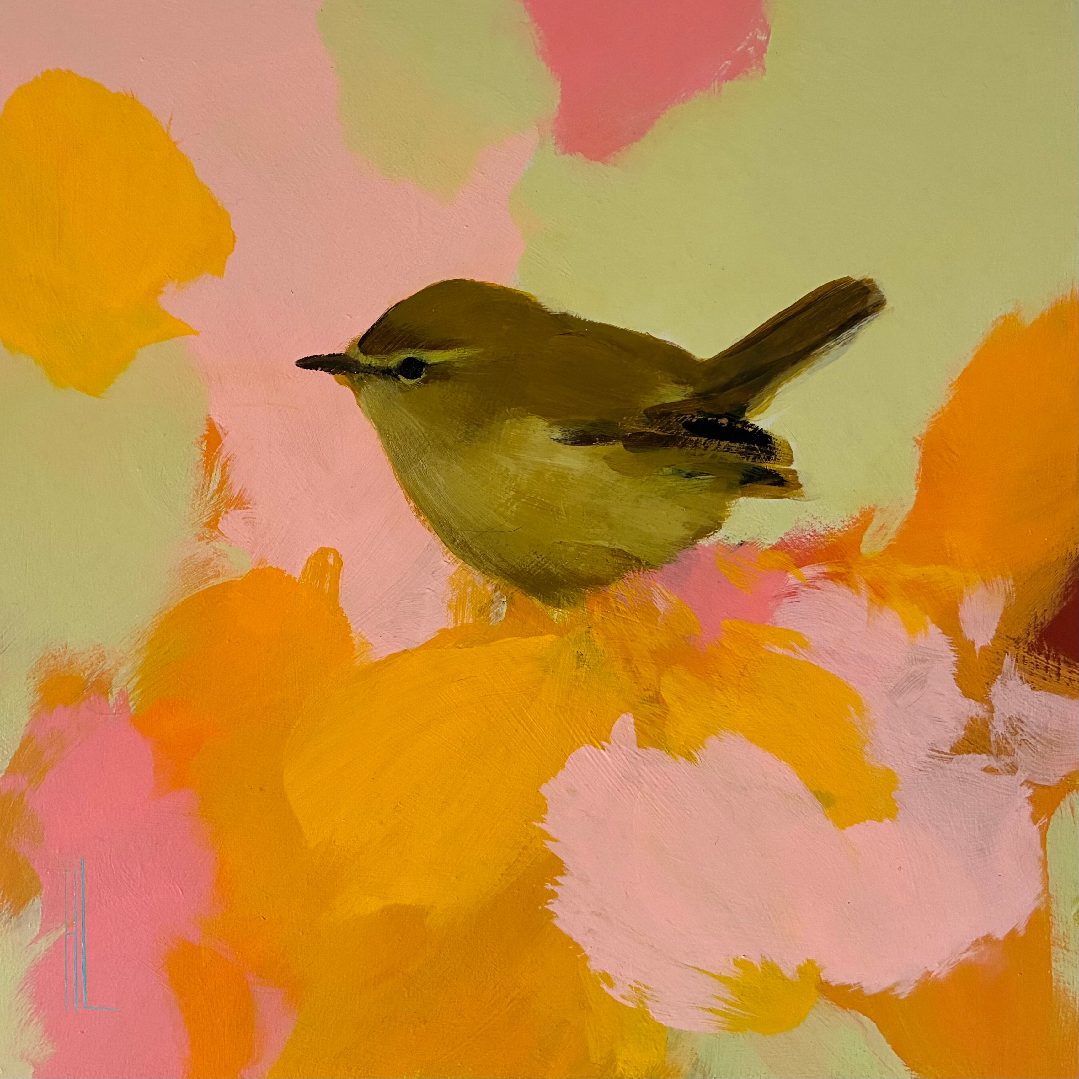Chiff chaff in yellow and pink